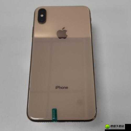 欧美 IPHONEXSMAX 大量精彩内容：时尚科技的完美融合