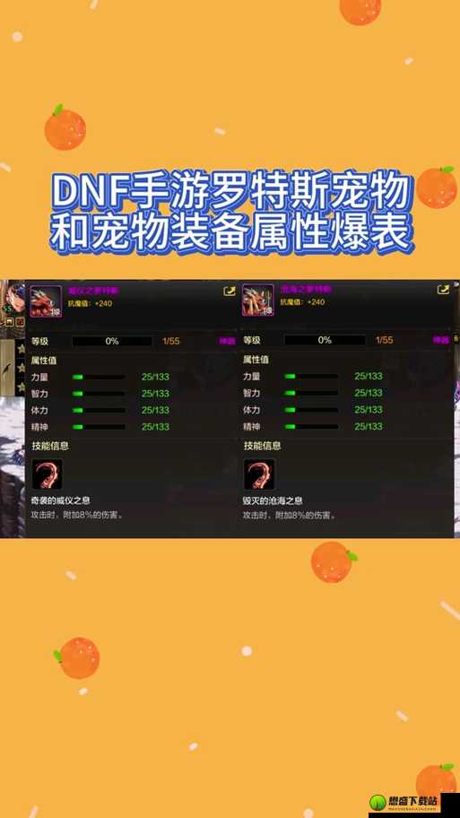 DNF海上列车宠物获取方法详解