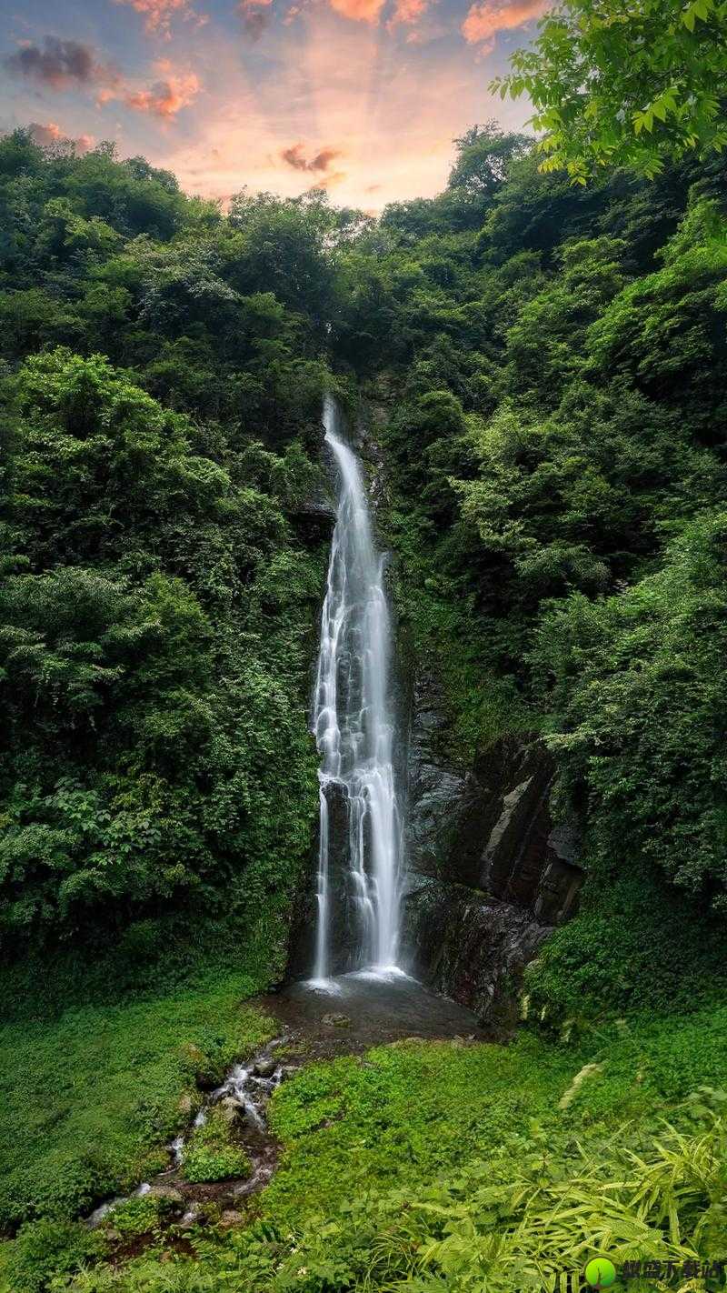 ：震惊大色屌背后竟隐藏着这样的秘密